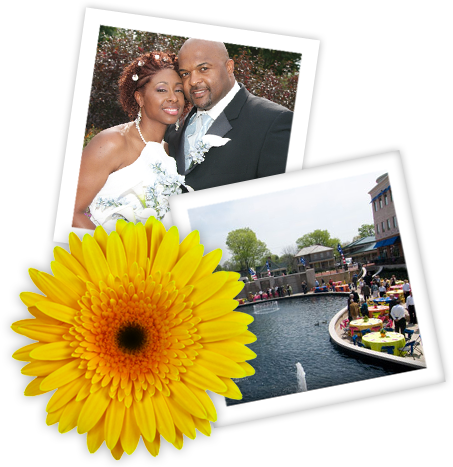 Images of Event Planning (Wedding), Creekside in Gahanna and Beautiful Flowers